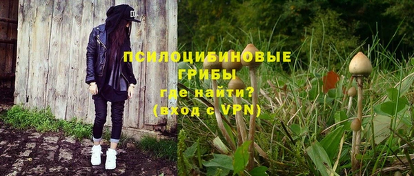 a pvp Алексин