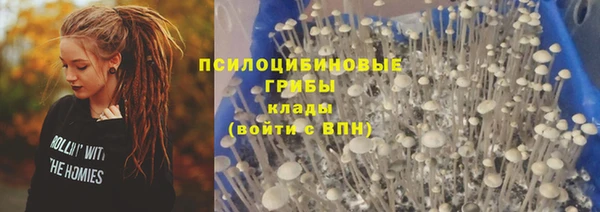стафф Алексеевка