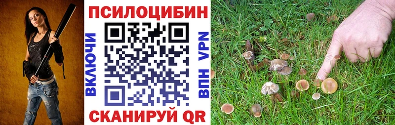 дарнет шоп Канаш Галлюциногенные грибы GOLDEN TEACHER