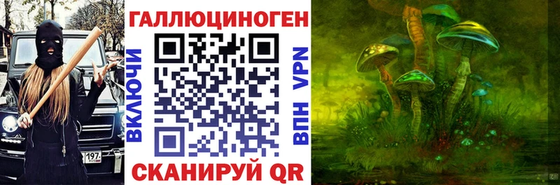 Галлюциногенные грибы Cubensis Канаш